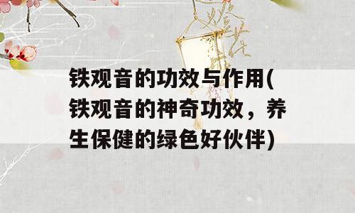 铁观音的功效与作用(铁观音的神奇功效，养生保健的绿色好伙伴)