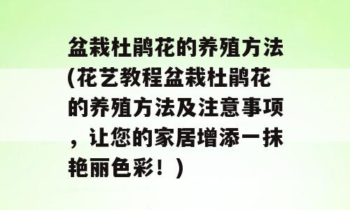 盆栽杜鹃花的养殖方法(花艺教程盆栽杜鹃花的养殖方法及注意事项，让您的家居增添一抹艳丽色彩！)