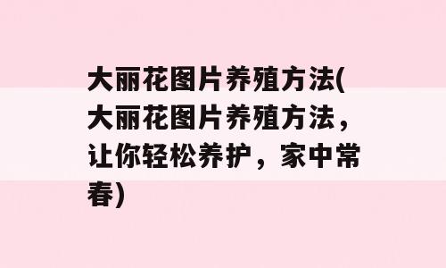 大丽花图片养殖方法(大丽花图片养殖方法，让你轻松养护，家中常春)