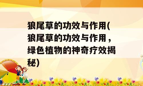 狼尾草的功效与作用(狼尾草的功效与作用，绿色植物的神奇疗效揭秘)