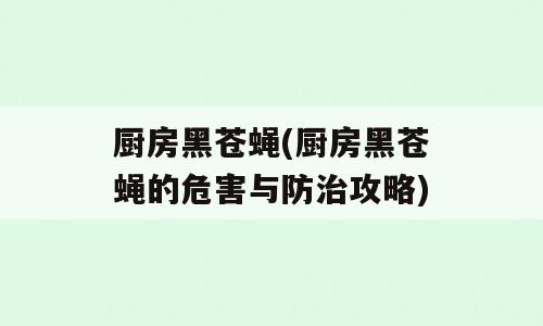 厨房黑苍蝇(厨房黑苍蝇的危害与防治攻略)