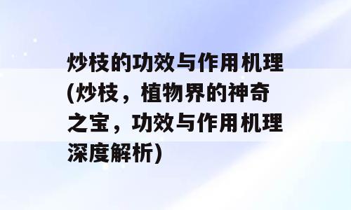炒枝的功效与作用机理(炒枝，植物界的神奇之宝，功效与作用机理深度解析)