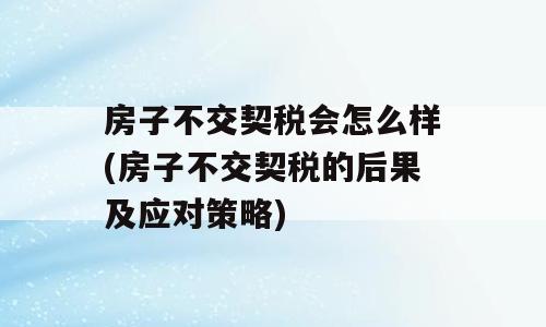 房子不交契税会怎么样(房子不交契税的后果及应对策略)