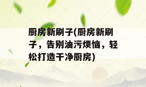 厨房新刷子(厨房新刷子，告别油污烦恼，轻松打造干净厨房)