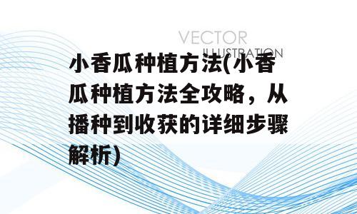 小香瓜种植方法(小香瓜种植方法全攻略，从播种到收获的详细步骤解析)