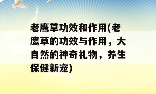 老鹰草功效和作用(老鹰草的功效与作用，大自然的神奇礼物，养生保健新宠)