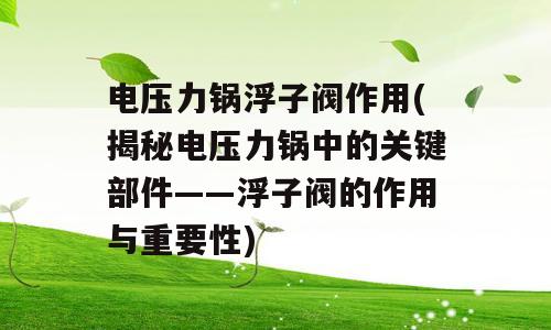 电压力锅浮子阀作用(揭秘电压力锅中的关键部件——浮子阀的作用与重要性)