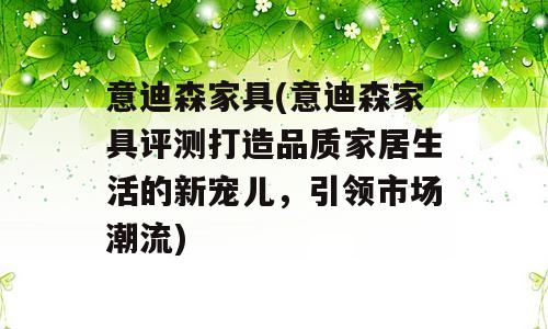 意迪森家具(意迪森家具评测打造品质家居生活的新宠儿，引领市场潮流)