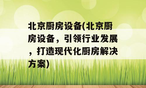 北京厨房设备(北京厨房设备，引领行业发展，打造现代化厨房解决方案)
