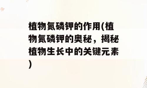 植物氮磷钾的作用(植物氮磷钾的奥秘，揭秘植物生长中的关键元素)