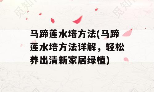 马蹄莲水培方法(马蹄莲水培方法详解，轻松养出清新家居绿植)