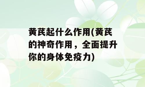黄芪起什么作用(黄芪的神奇作用，全面提升你的身体免疫力)