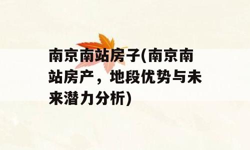 南京南站房子(南京南站房产，地段优势与未来潜力分析)