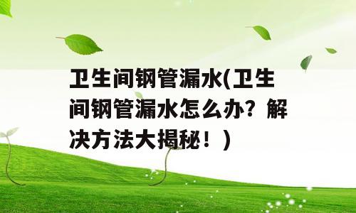 卫生间钢管漏水(卫生间钢管漏水怎么办？解决方法大揭秘！)
