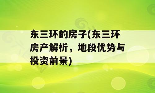 东三环的房子(东三环房产解析，地段优势与投资前景)