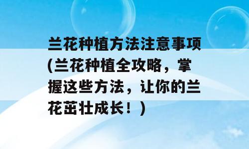 兰花种植方法注意事项(兰花种植全攻略，掌握这些方法，让你的兰花茁壮成长！)
