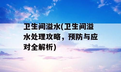 卫生间溢水(卫生间溢水处理攻略，预防与应对全解析)