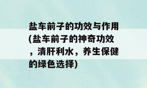 盐车前子的功效与作用(盐车前子的神奇功效，清肝利水，养生保健的绿色选择)