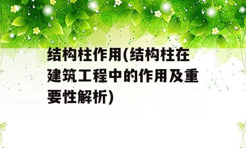 结构柱作用(结构柱在建筑工程中的作用及重要性解析)