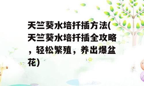 天竺葵水培扦插方法(天竺葵水培扦插全攻略，轻松繁殖，养出爆盆花)