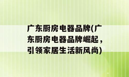 广东厨房电器品牌(广东厨房电器品牌崛起，引领家居生活新风尚)