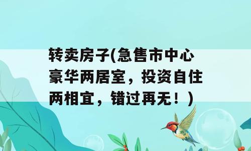 转卖房子(急售市中心豪华两居室，投资自住两相宜，错过再无！)
