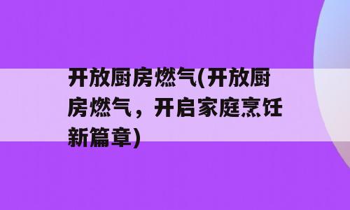 开放厨房燃气(开放厨房燃气，开启家庭烹饪新篇章)