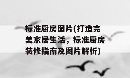 标准厨房图片(打造完美家居生活，标准厨房装修指南及图片解析)