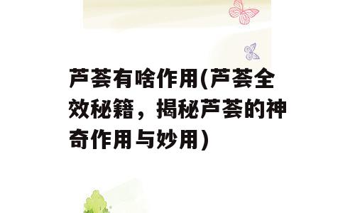 芦荟有啥作用(芦荟全效秘籍，揭秘芦荟的神奇作用与妙用)