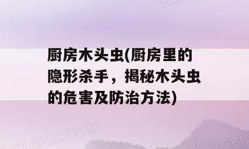 厨房木头虫(厨房里的隐形杀手，揭秘木头虫的危害及防治方法)