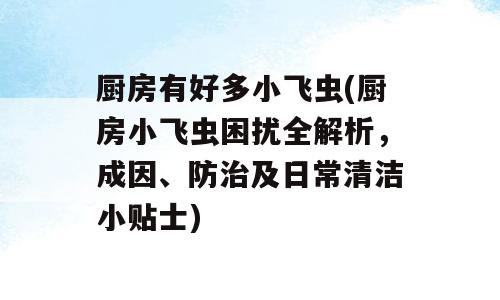 厨房有好多小飞虫(厨房小飞虫困扰全解析，成因、防治及日常清洁小贴士)