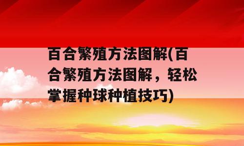 百合繁殖方法图解(百合繁殖方法图解，轻松掌握种球种植技巧)