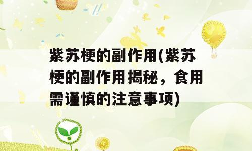 紫苏梗的副作用(紫苏梗的副作用揭秘，食用需谨慎的注意事项)
