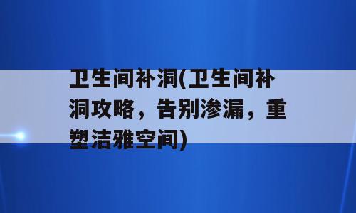 卫生间补洞(卫生间补洞攻略，告别渗漏，重塑洁雅空间)