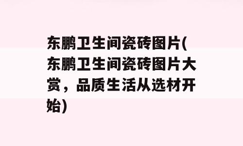 东鹏卫生间瓷砖图片(东鹏卫生间瓷砖图片大赏，品质生活从选材开始)