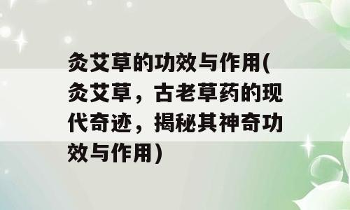 灸艾草的功效与作用(灸艾草，古老草药的现代奇迹，揭秘其神奇功效与作用)