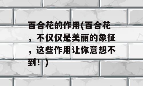 百合花的作用(百合花，不仅仅是美丽的象征，这些作用让你意想不到！)