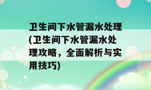 卫生间下水管漏水处理(卫生间下水管漏水处理攻略，全面解析与实用技巧)