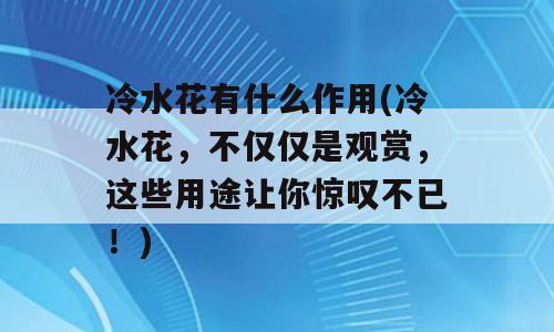 冷水花有什么作用(冷水花，不仅仅是观赏，这些用途让你惊叹不已！)