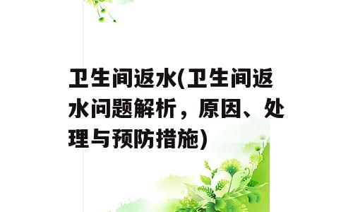 卫生间返水(卫生间返水问题解析，原因、处理与预防措施)