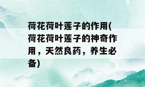 荷花荷叶莲子的作用(荷花荷叶莲子的神奇作用，天然良药，养生必备)