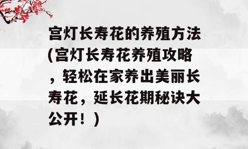 宫灯长寿花的养殖方法(宫灯长寿花养殖攻略，轻松在家养出美丽长寿花，延长花期秘诀大公开！)