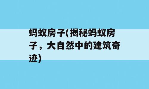 蚂蚁房子(揭秘蚂蚁房子，大自然中的建筑奇迹)
