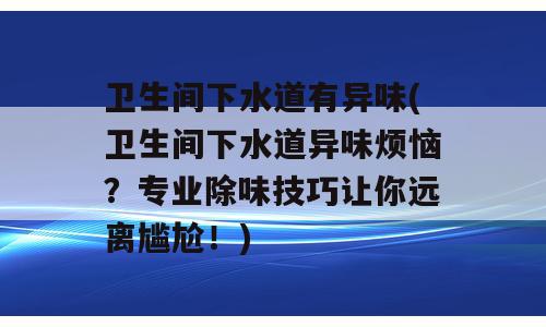 卫生间下水道有异味(卫生间下水道异味烦恼？专业除味技巧让你远离尴尬！)