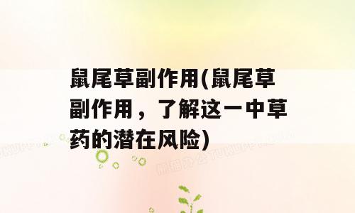 鼠尾草副作用(鼠尾草副作用，了解这一中草药的潜在风险)