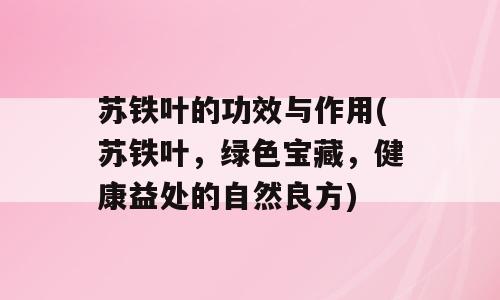 苏铁叶的功效与作用(苏铁叶，绿色宝藏，健康益处的自然良方)