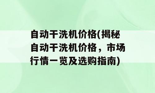 自动干洗机价格(揭秘自动干洗机价格，市场行情一览及选购指南)