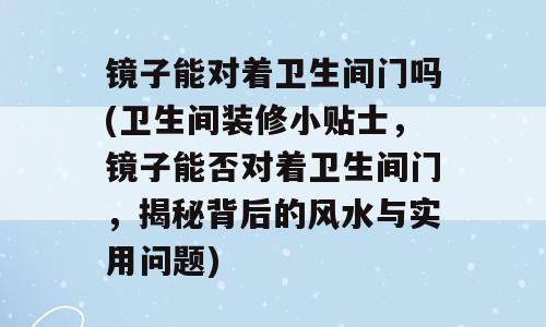 镜子能对着卫生间门吗(卫生间装修小贴士，镜子能否对着卫生间门，揭秘背后的风水与实用问题)