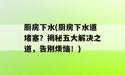 厨房下水(厨房下水道堵塞？揭秘五大解决之道，告别烦恼！)