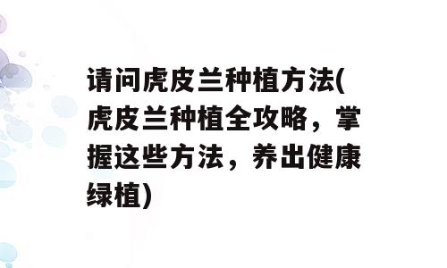 请问虎皮兰种植方法(虎皮兰种植全攻略，掌握这些方法，养出健康绿植)